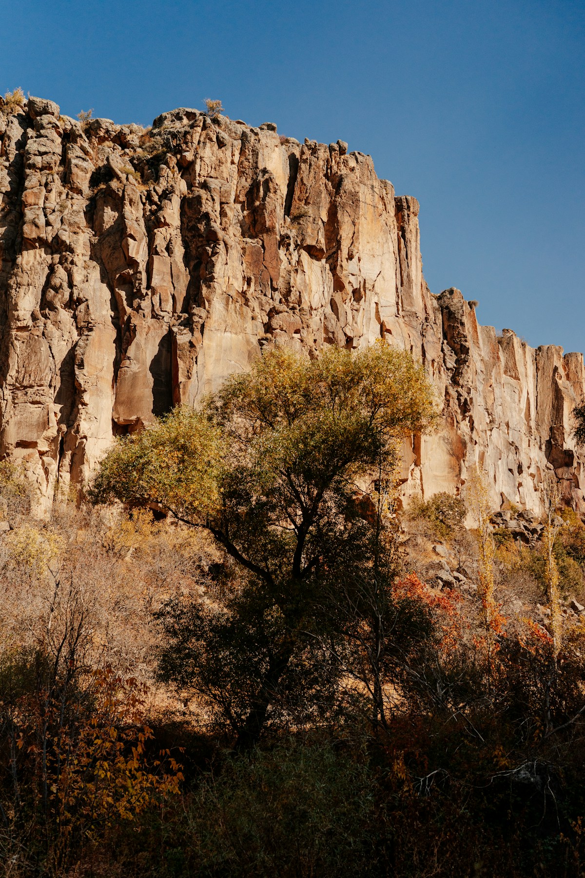 Ihlara Valley volcanic cliff face with autumn trees — day trips from Cappadocia, Turkey