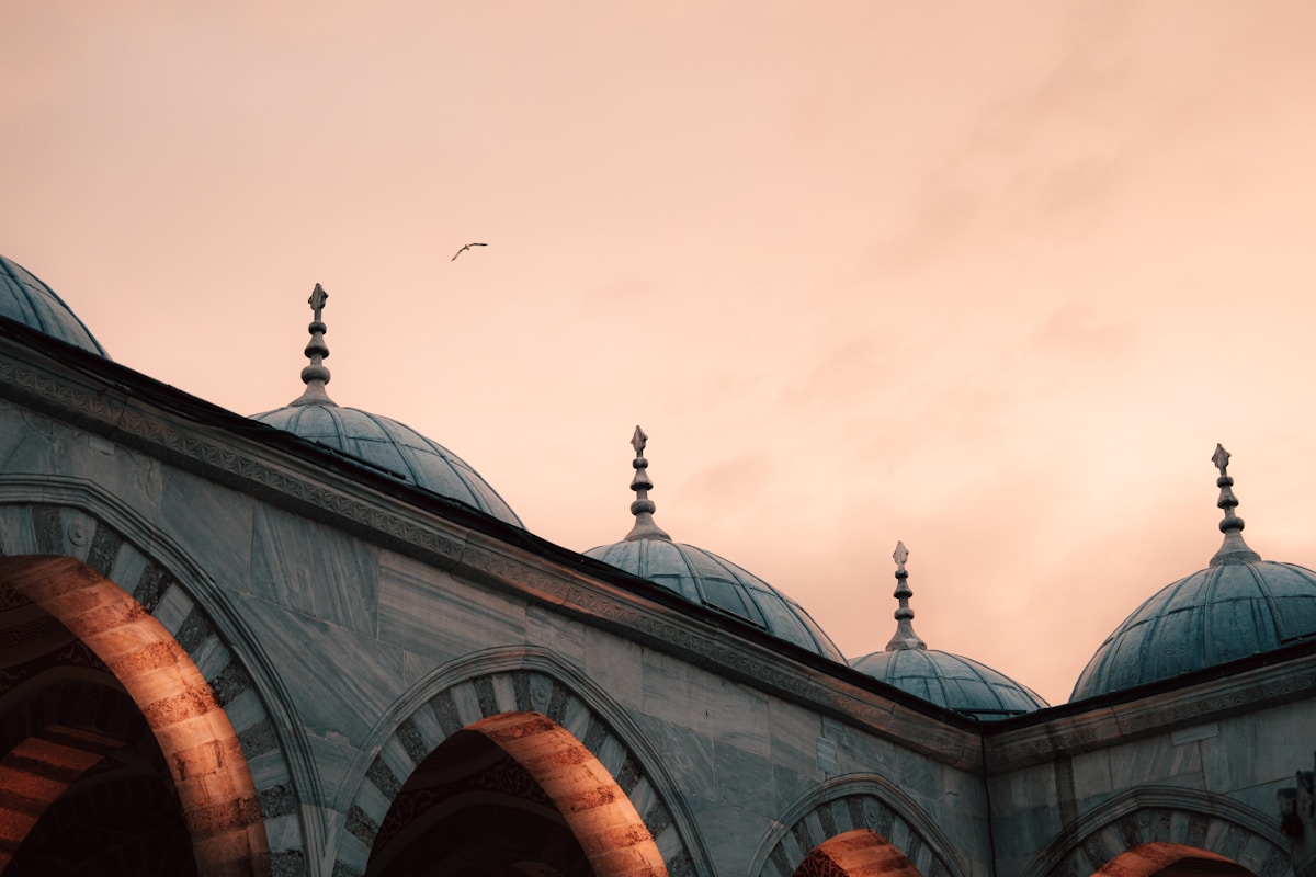 Istanbul airport arrivals - Turkey now requires all e-visa applicants to apply online before flying